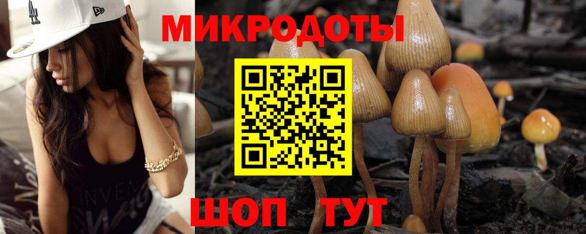 Тимашёвск  Псилоцибиновые грибы Psilocybine cubensis  даркнет сайт  Вход с VPN  Галлюциногенные грибы мухоморы 